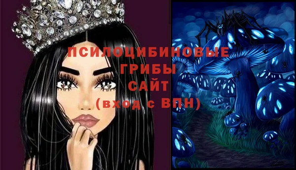 сатива Алексин